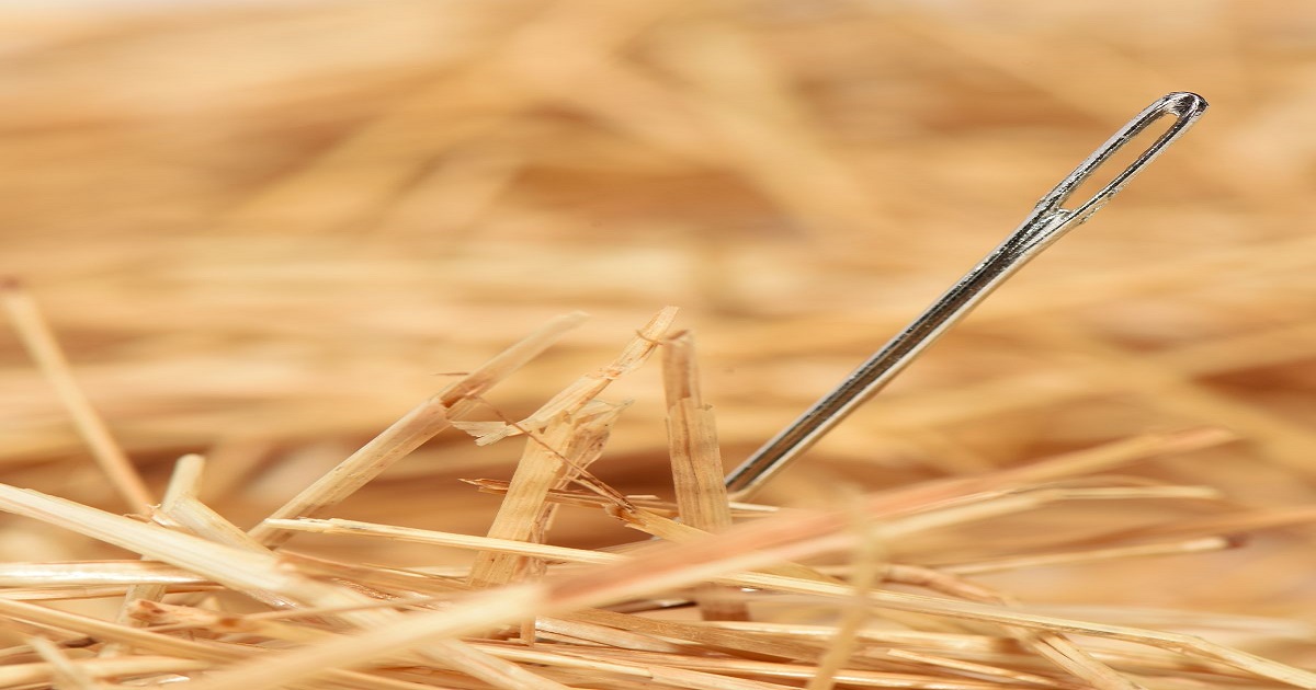 Finding a Needle in a Haystack:  Enhancing Visibility in  Clinical Service Provider Management